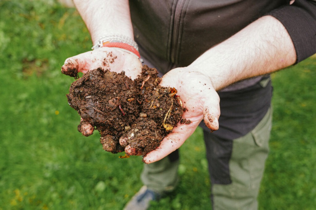 Lössboden in den Händen – biodynamischer Weinbau am Weingut Obenaus