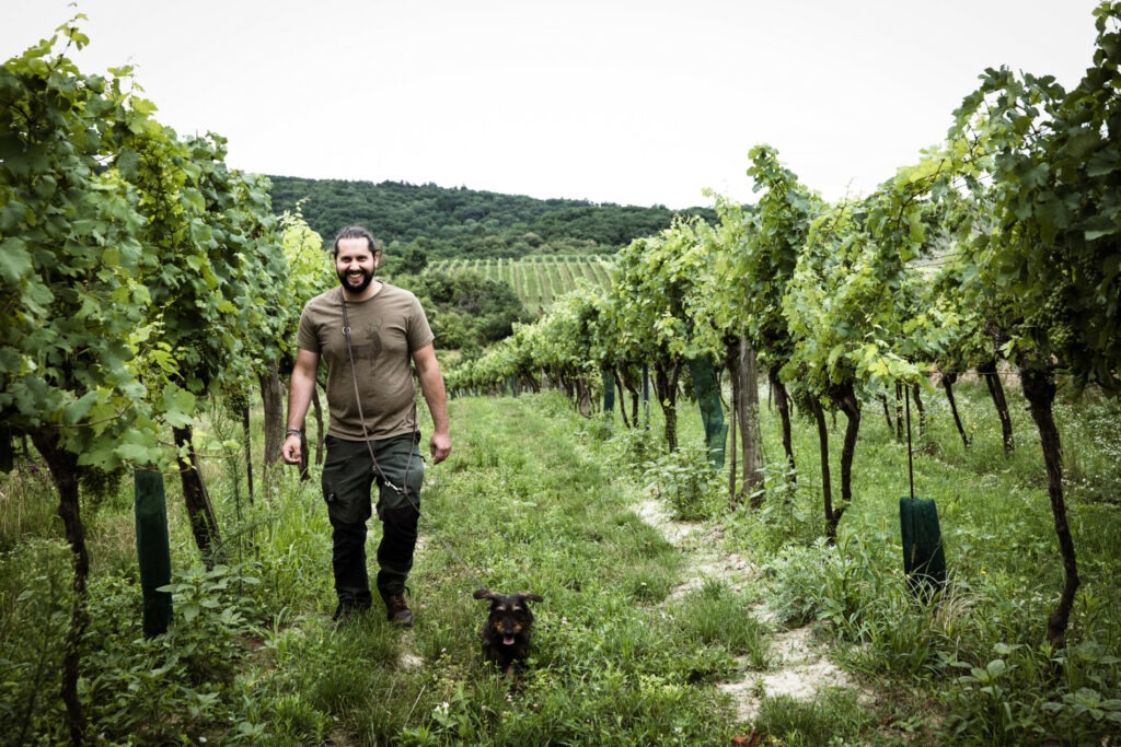 Martin Obenaus mit Hund in einer jungen Rebanlage – die MO-Weine stammen aus jungen Weingärten