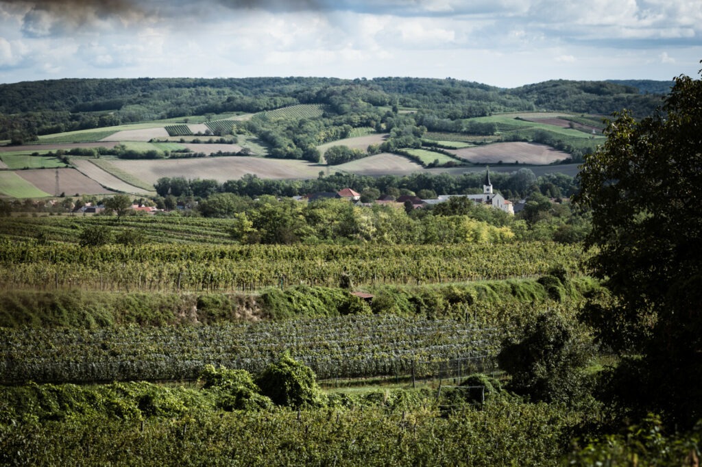 Weingärten, Felder und Dorf – das Weinviertel rund um Glaubendorf